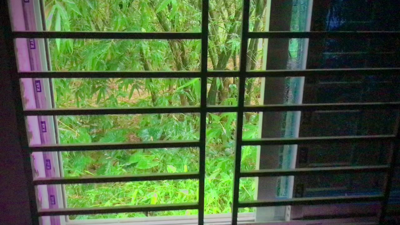 @প্রকৃতি প্রেমিক। 🌄🏞️