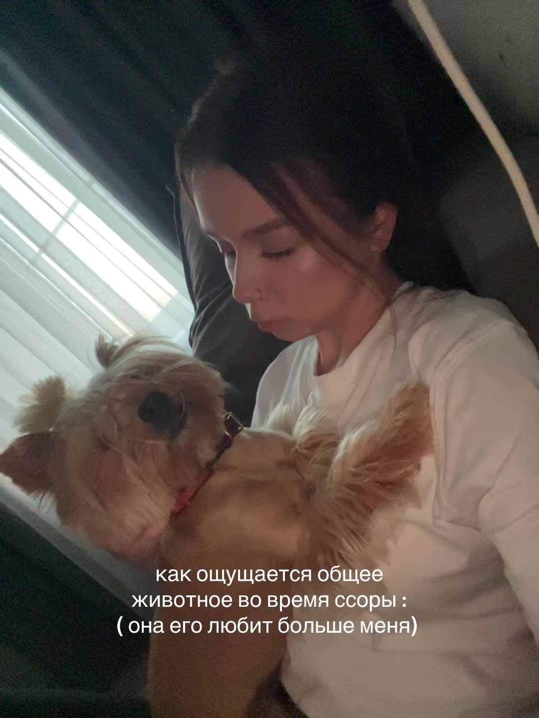 @ТГК: SERGESHA