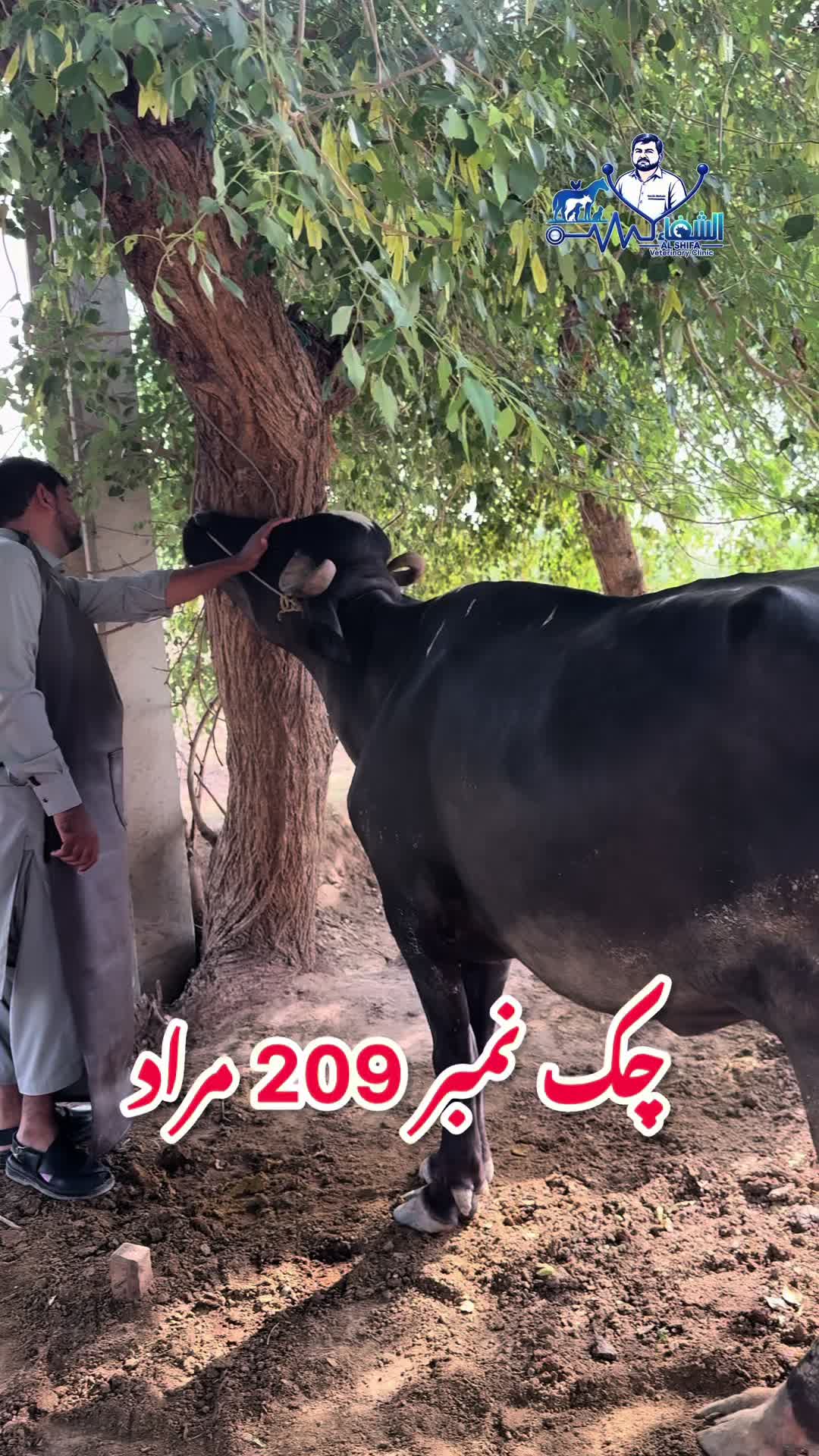 @Dr.Mohsin
