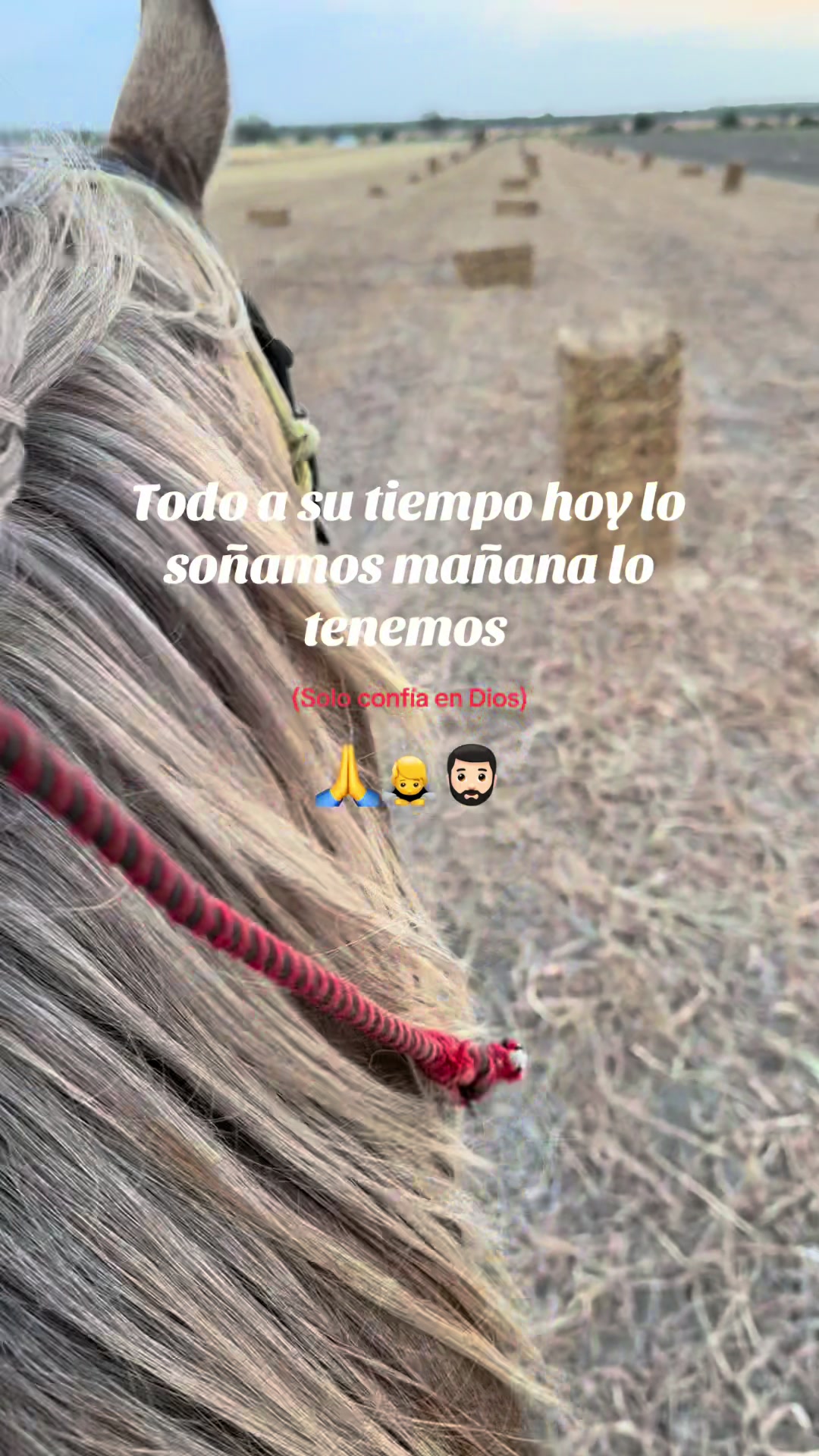 @Nando Ajr.🙇🏻🙏🏻☘️