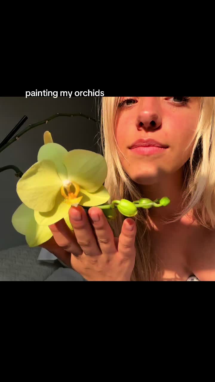 @greta
