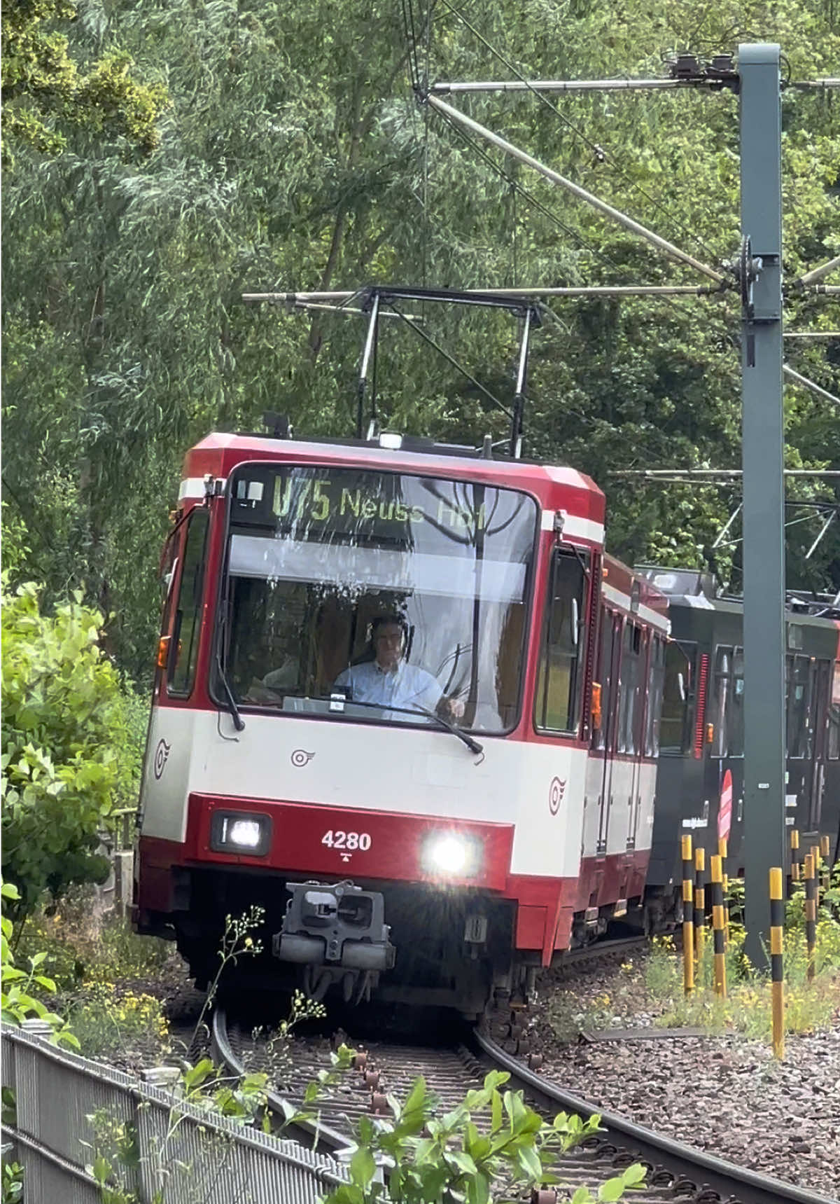 @ZW•NRW🇩🇪🦦