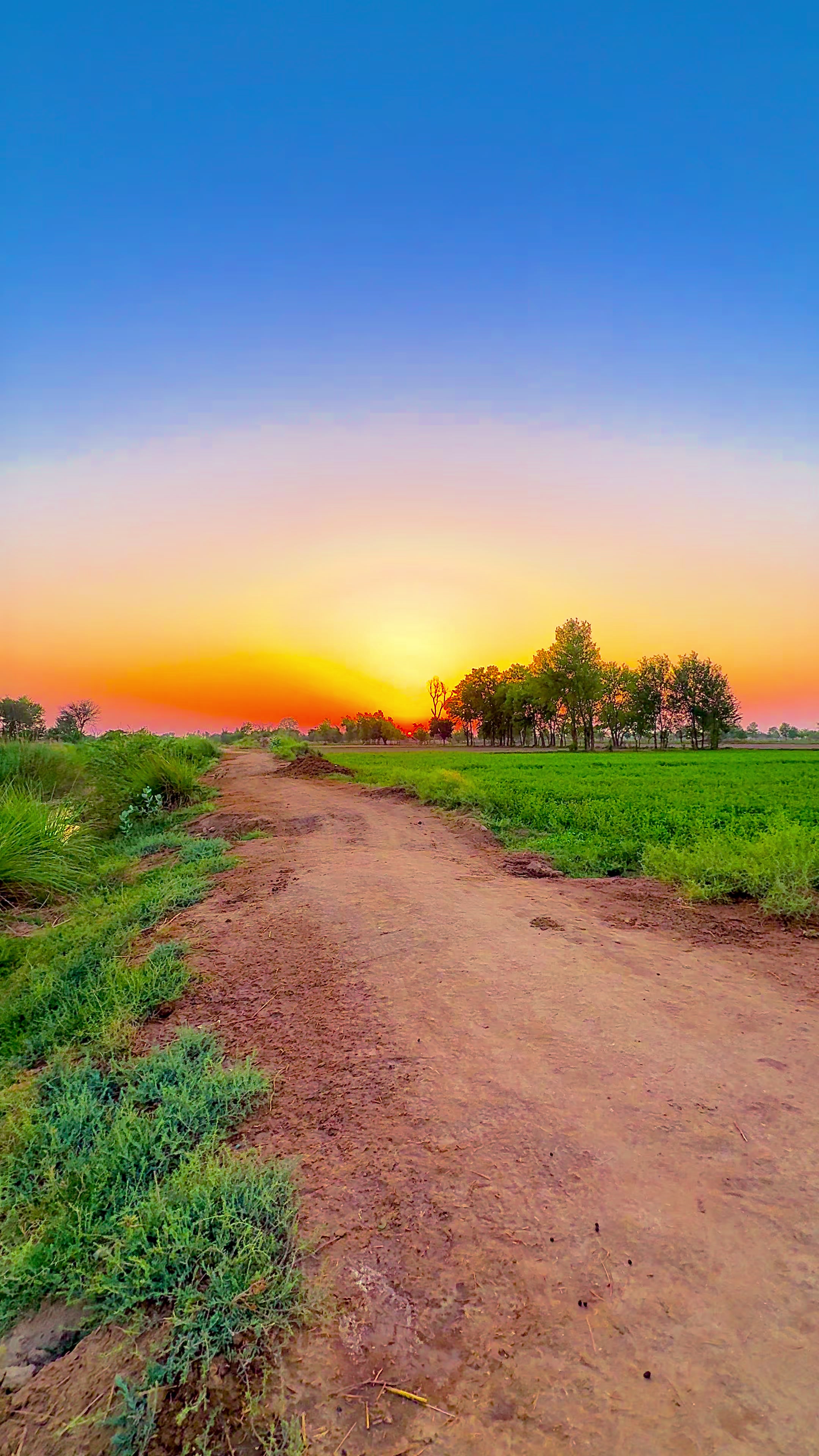 @🌾میں۔ میرا۔ پنڈ🎋