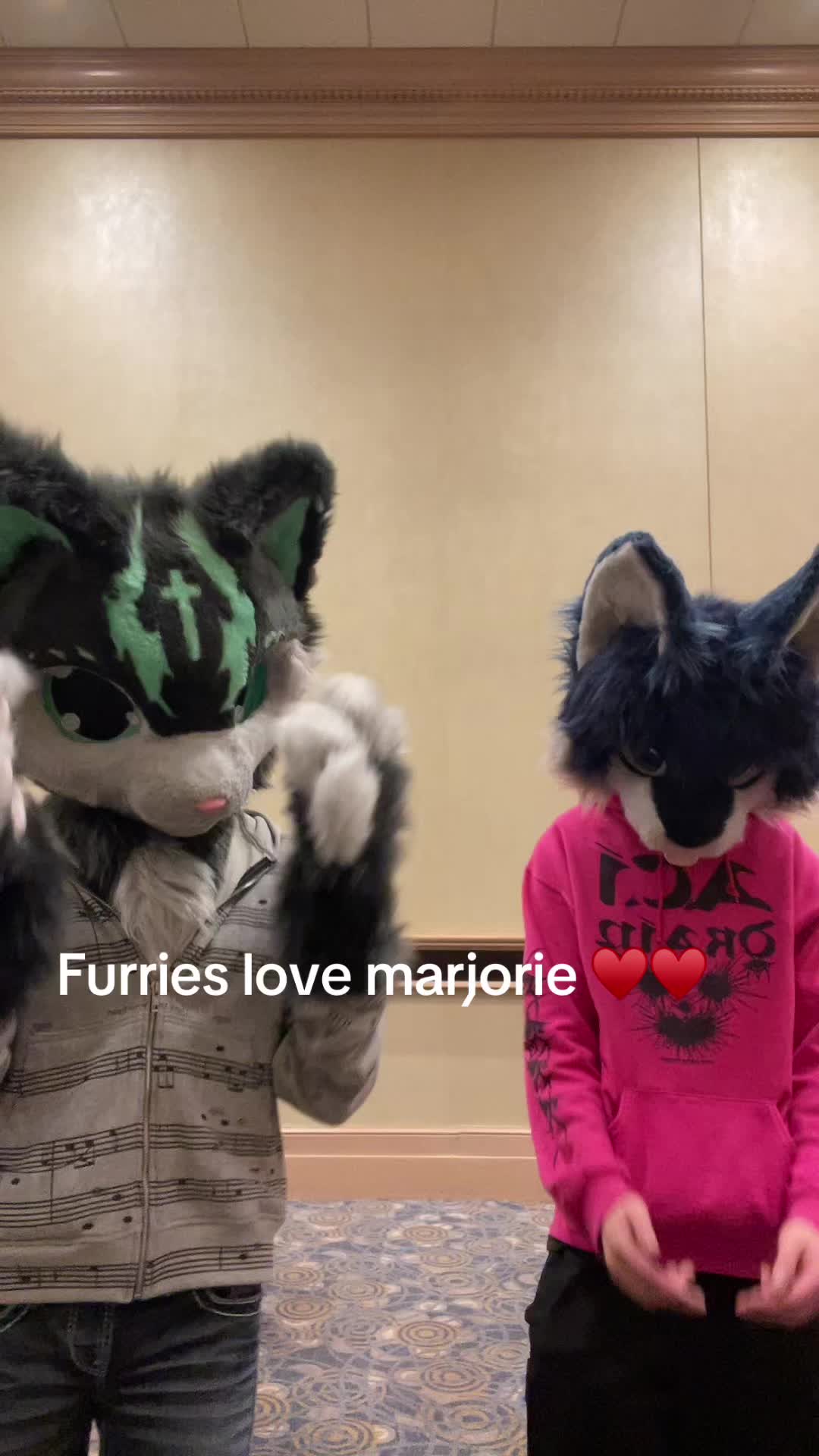 @derpykitten