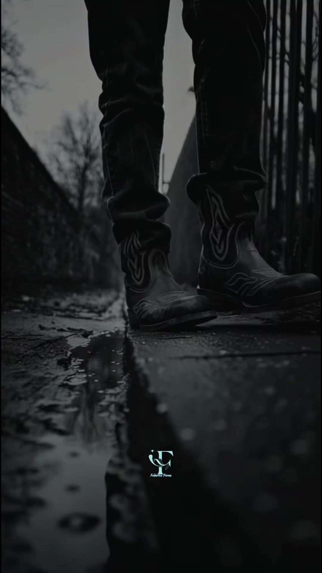 @𝕱𝖊𝖉𝖊𝖗𝖎𝖈𝖔 𝕻𝖊𝖗𝖊𝖆 ✮