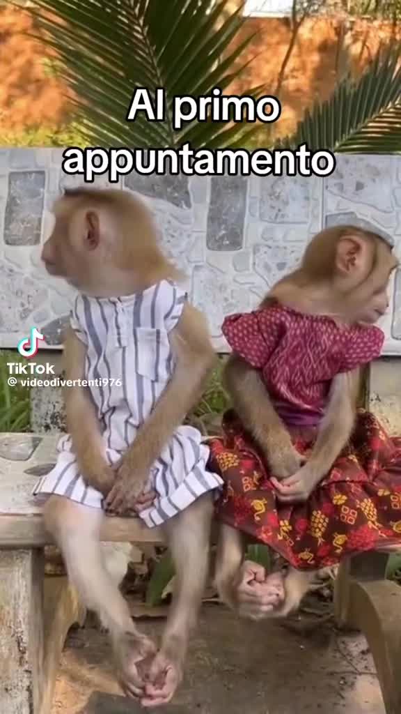 @u ziu da merica "Calabrisi"