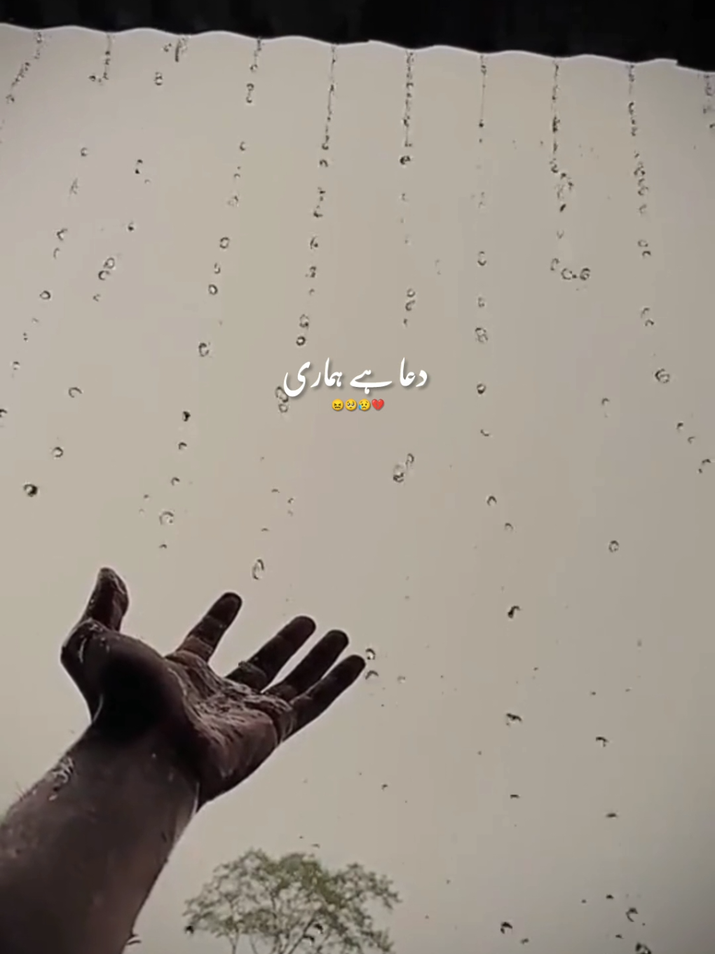 @💘💔زخمی دل💔💘