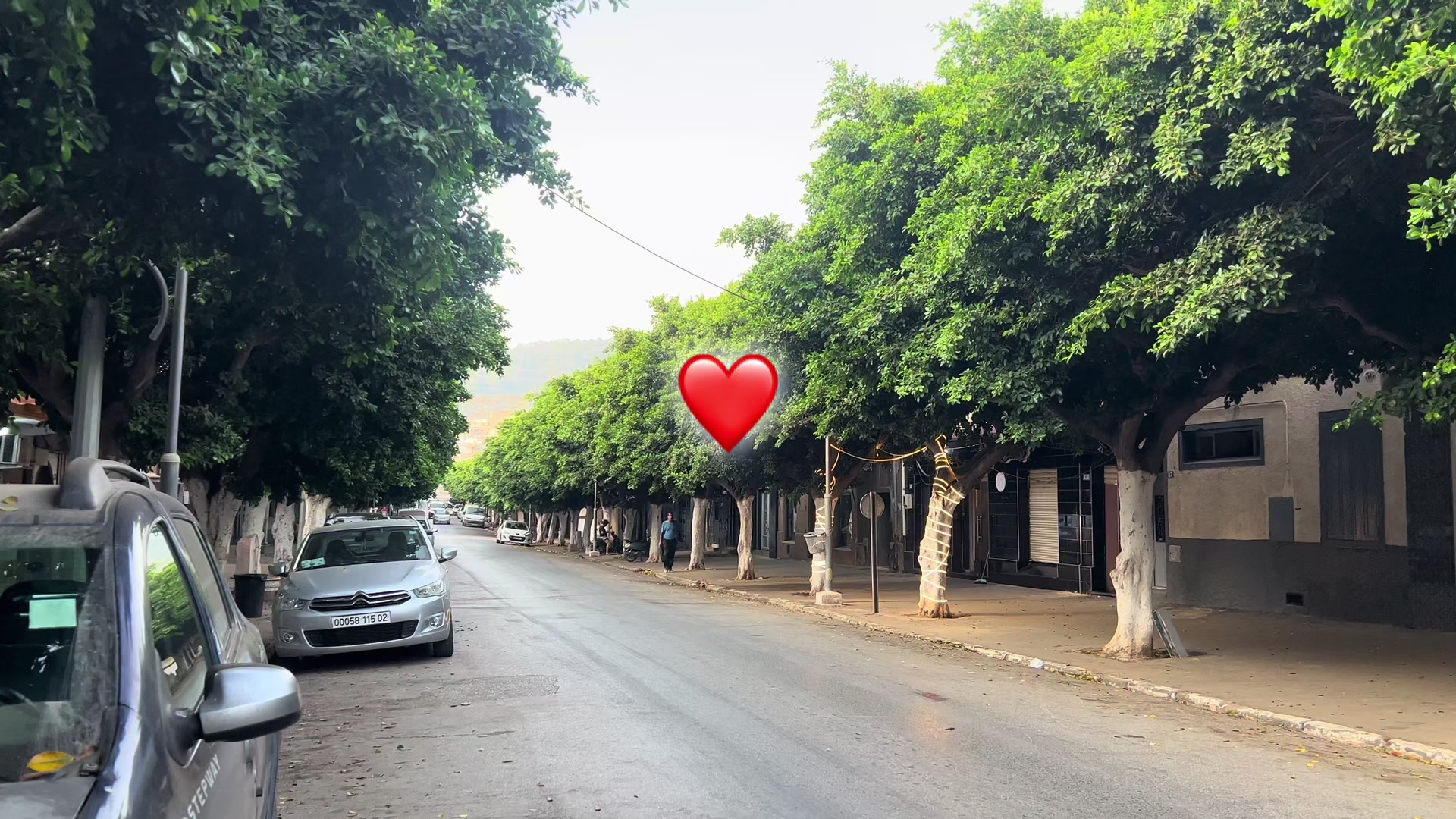 @🍃