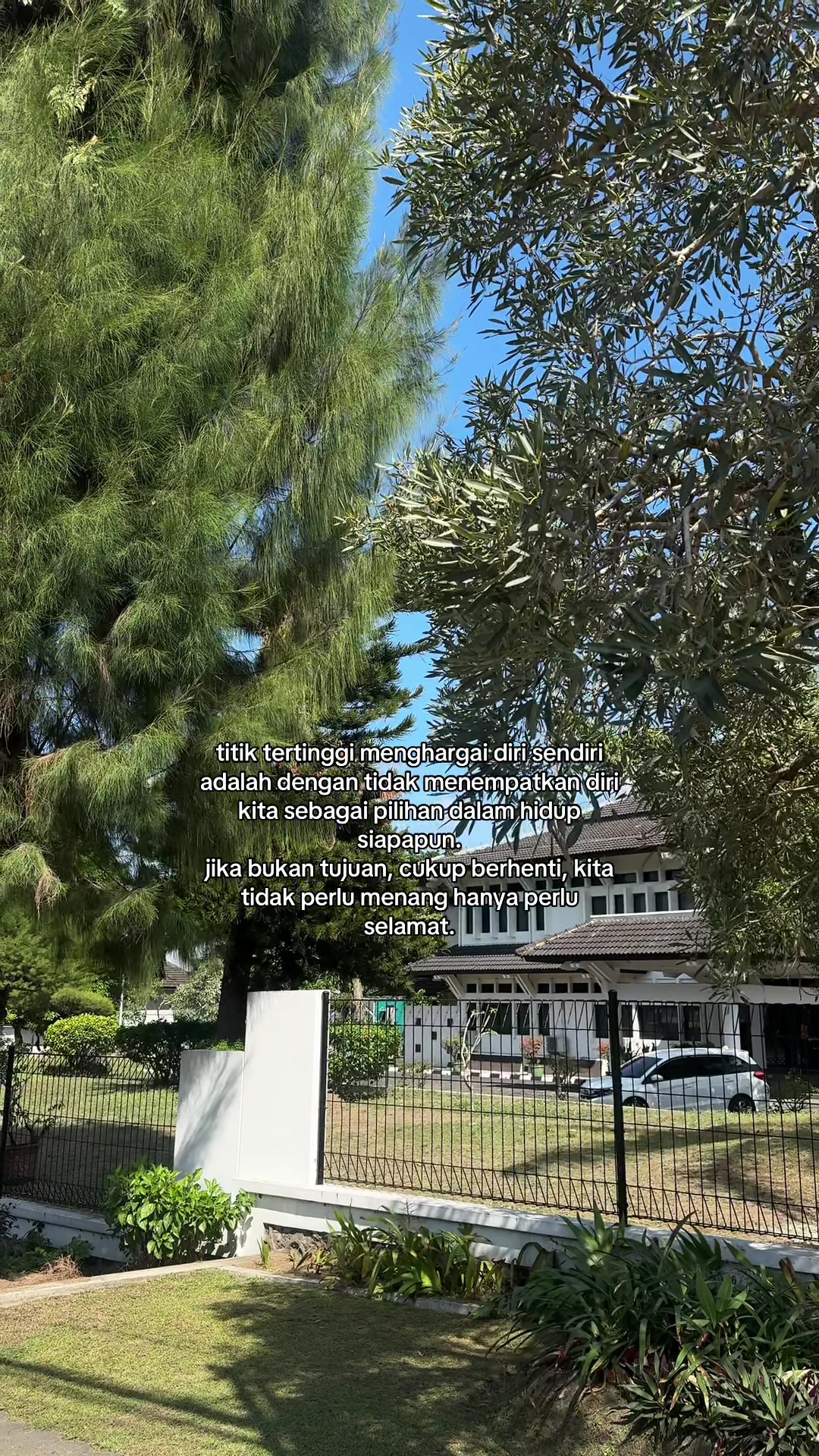@zσηα gαℓαυ