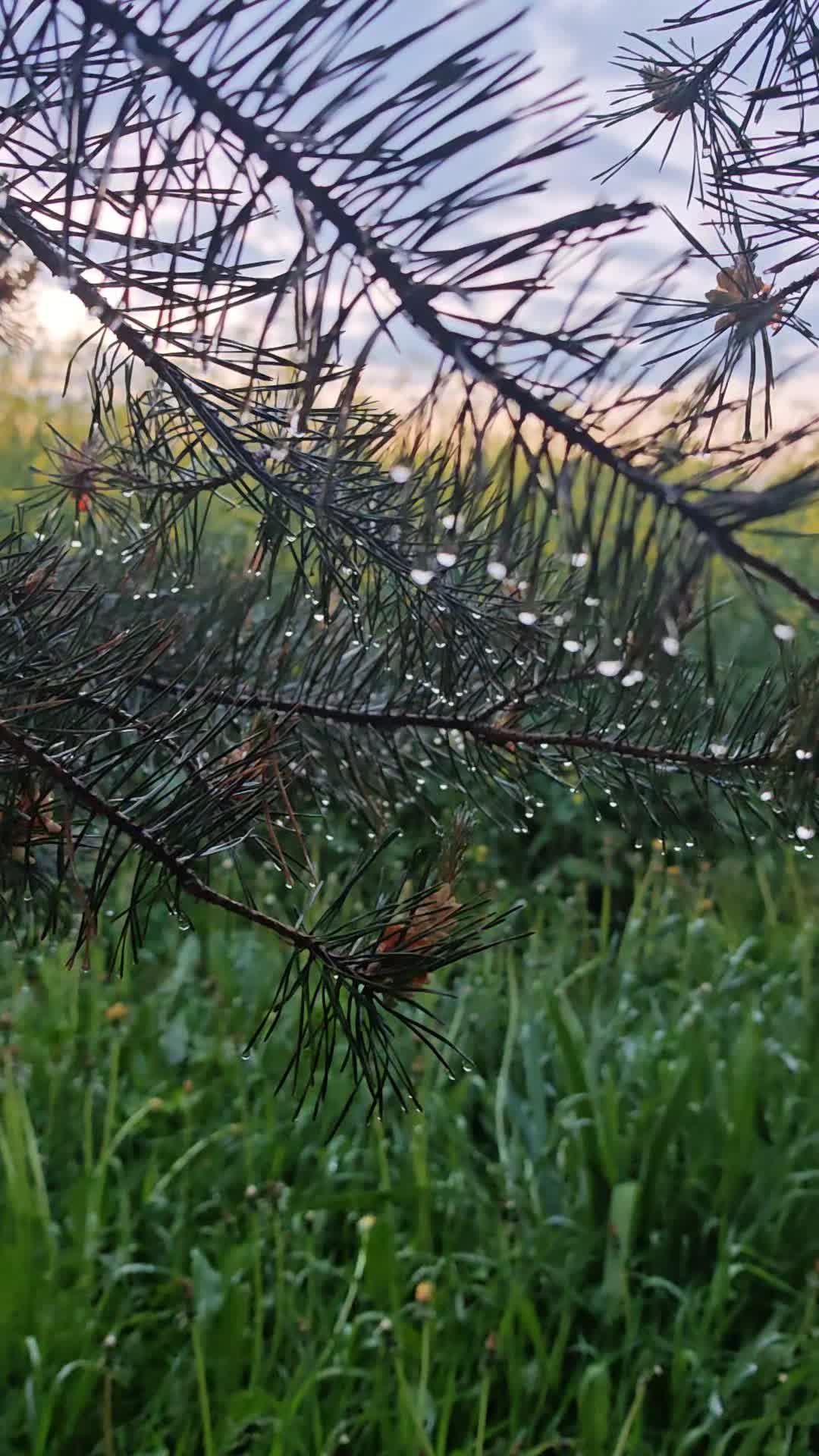 @Алеся Романюк