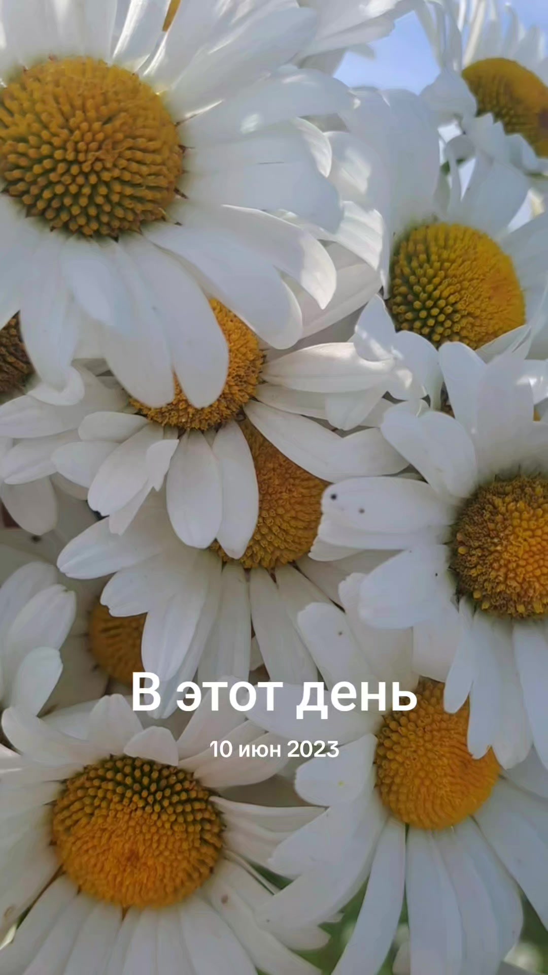 @tiktok