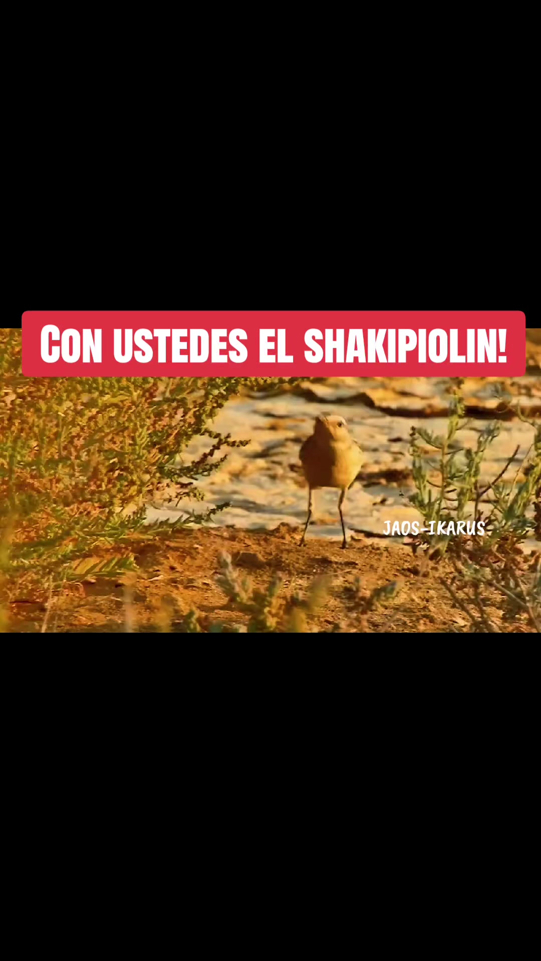 @JAOS-IKARUS