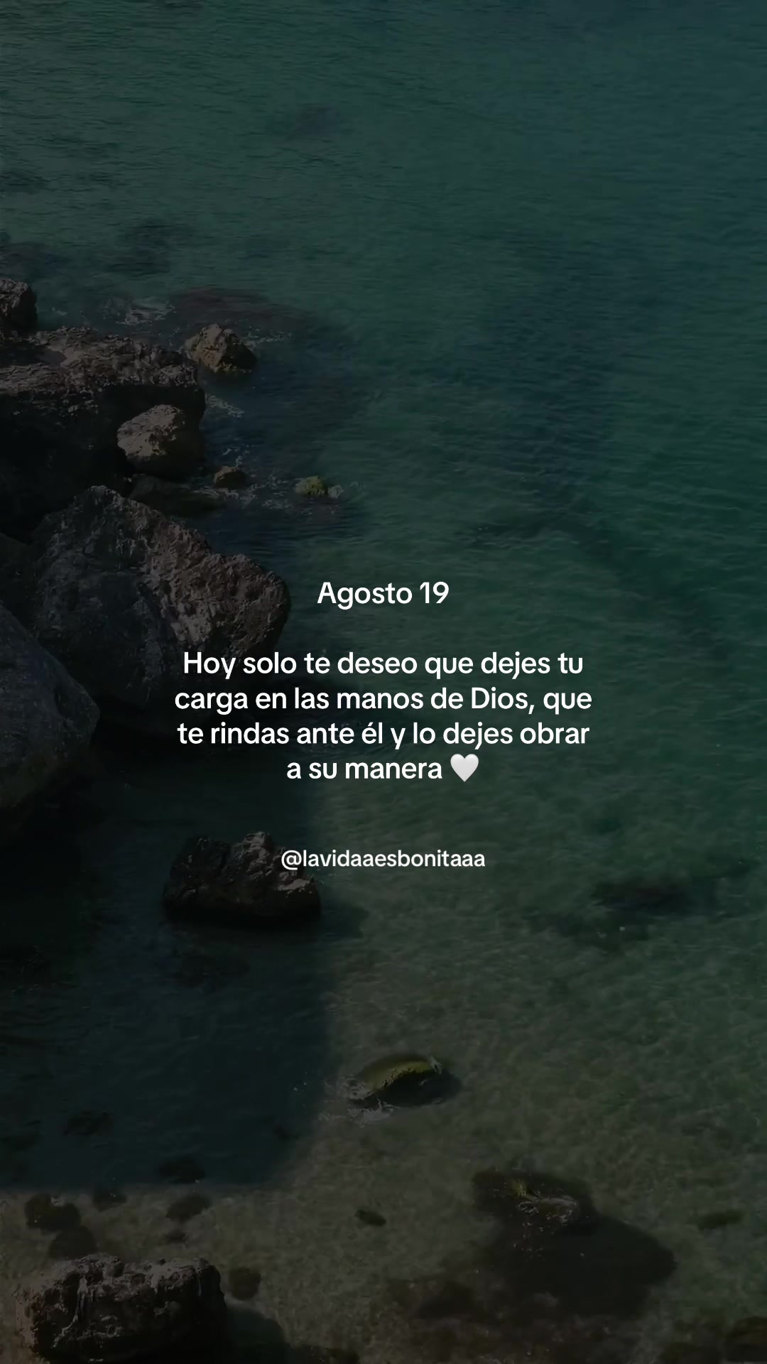 @vidabonita❤️🩹