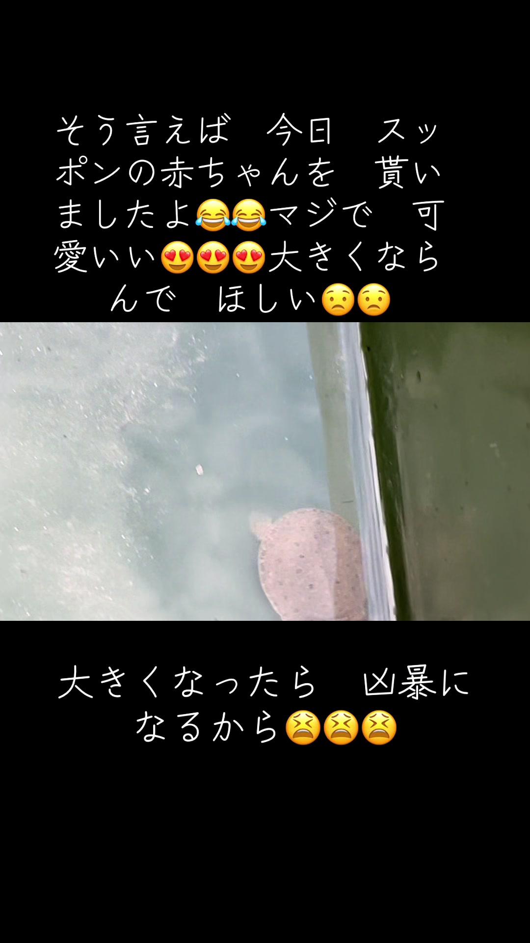 @かんちゃん