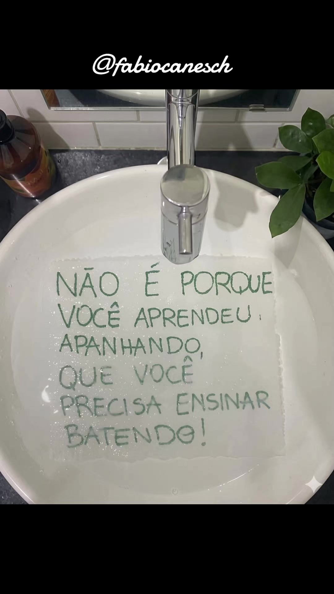 @F&aacute;bio caneschi de Oliveira