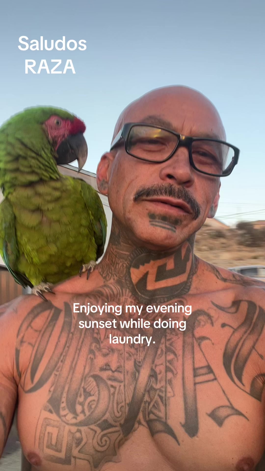 @chinoblue😎