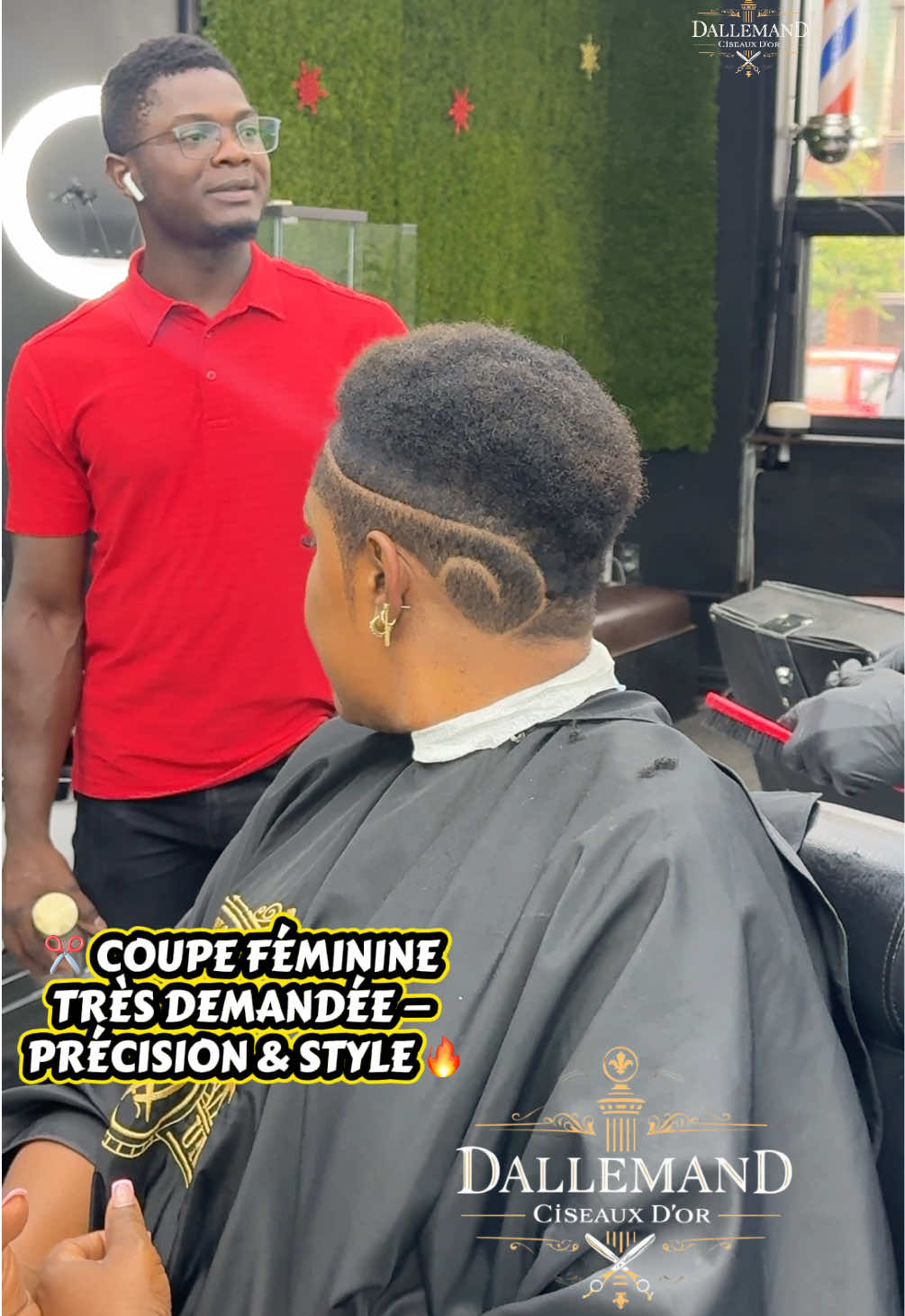 @dallemandciseauxdor
