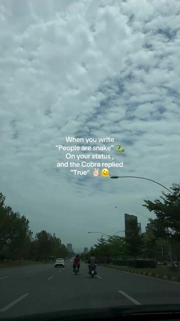 @Sarah | سارہ