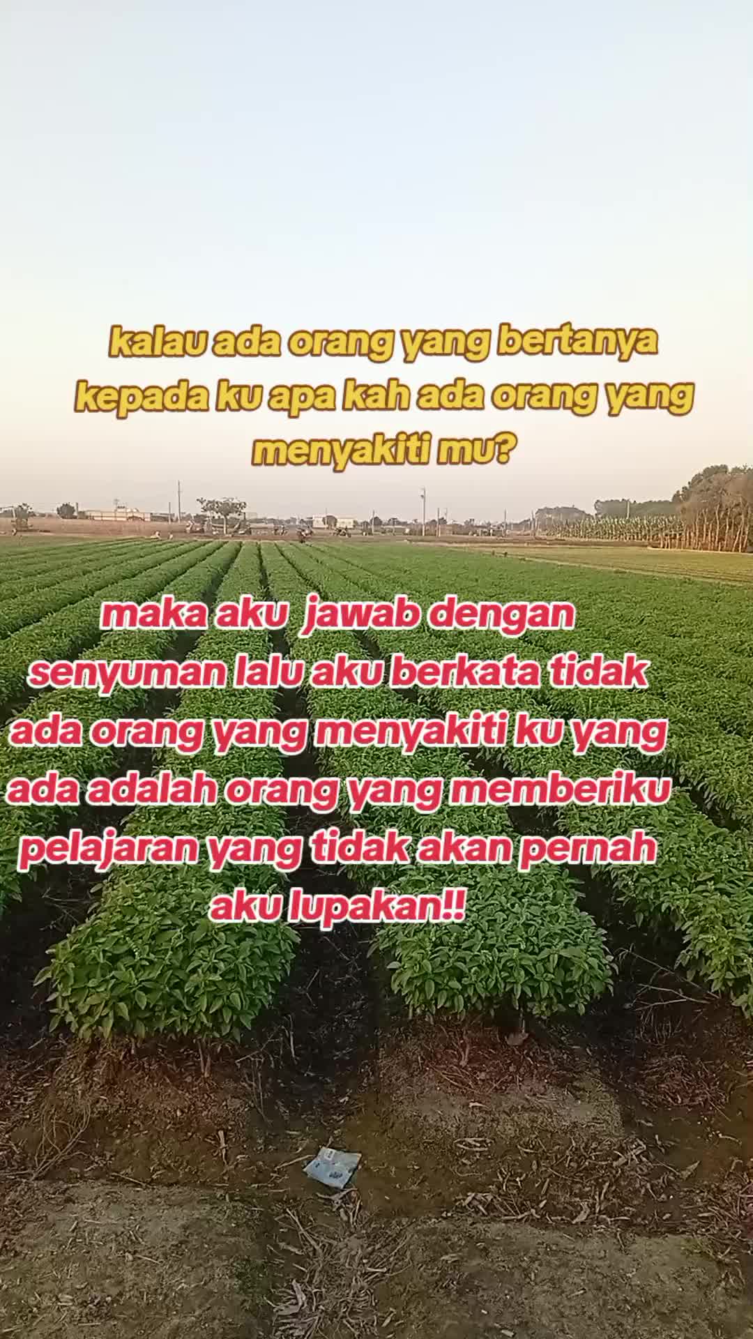 @Mbah ibuk