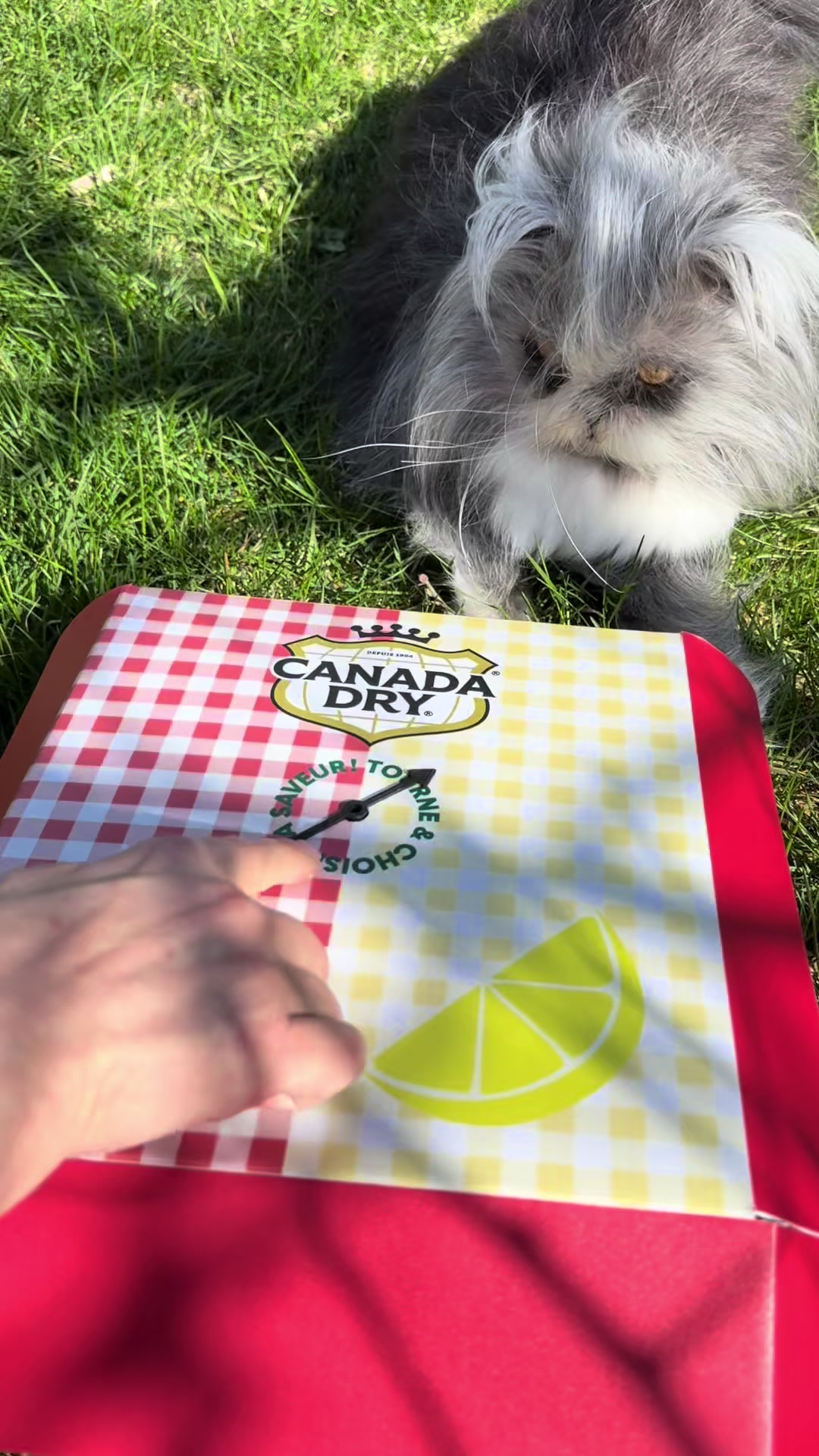 @atchoumthecat