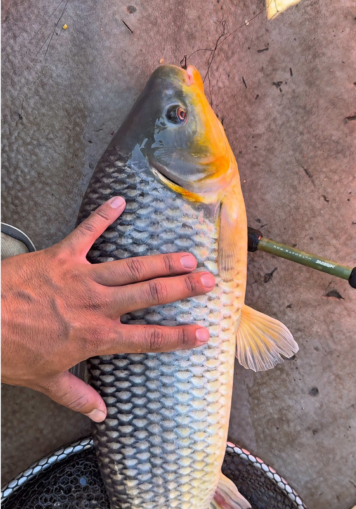 @Magrão Pesca