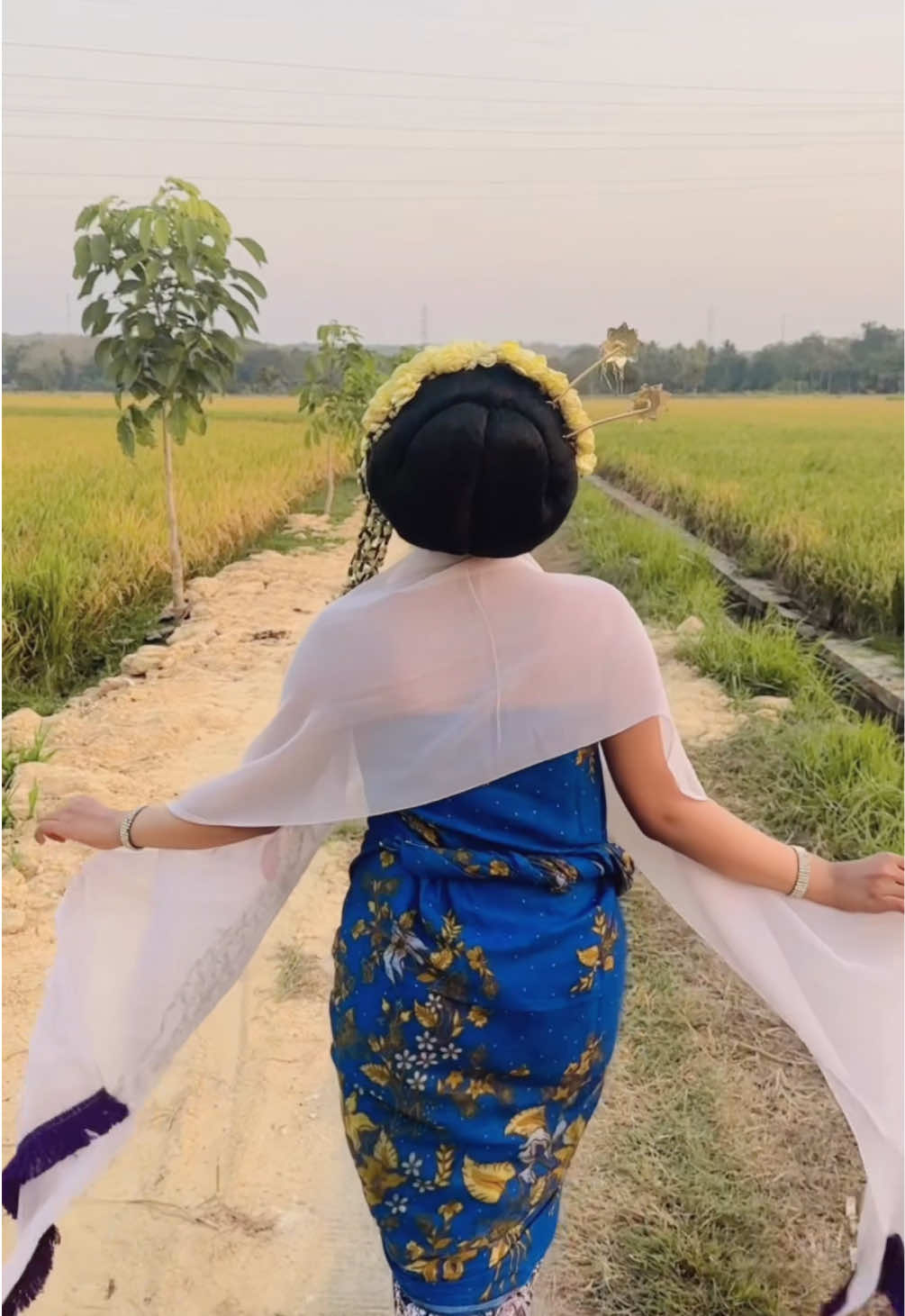 @Ara Tiara