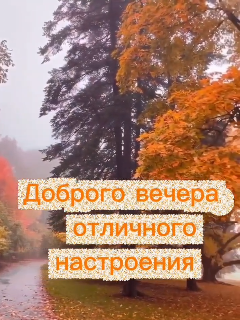 @CAPCUT - ШАБЛОНЫ - Александр