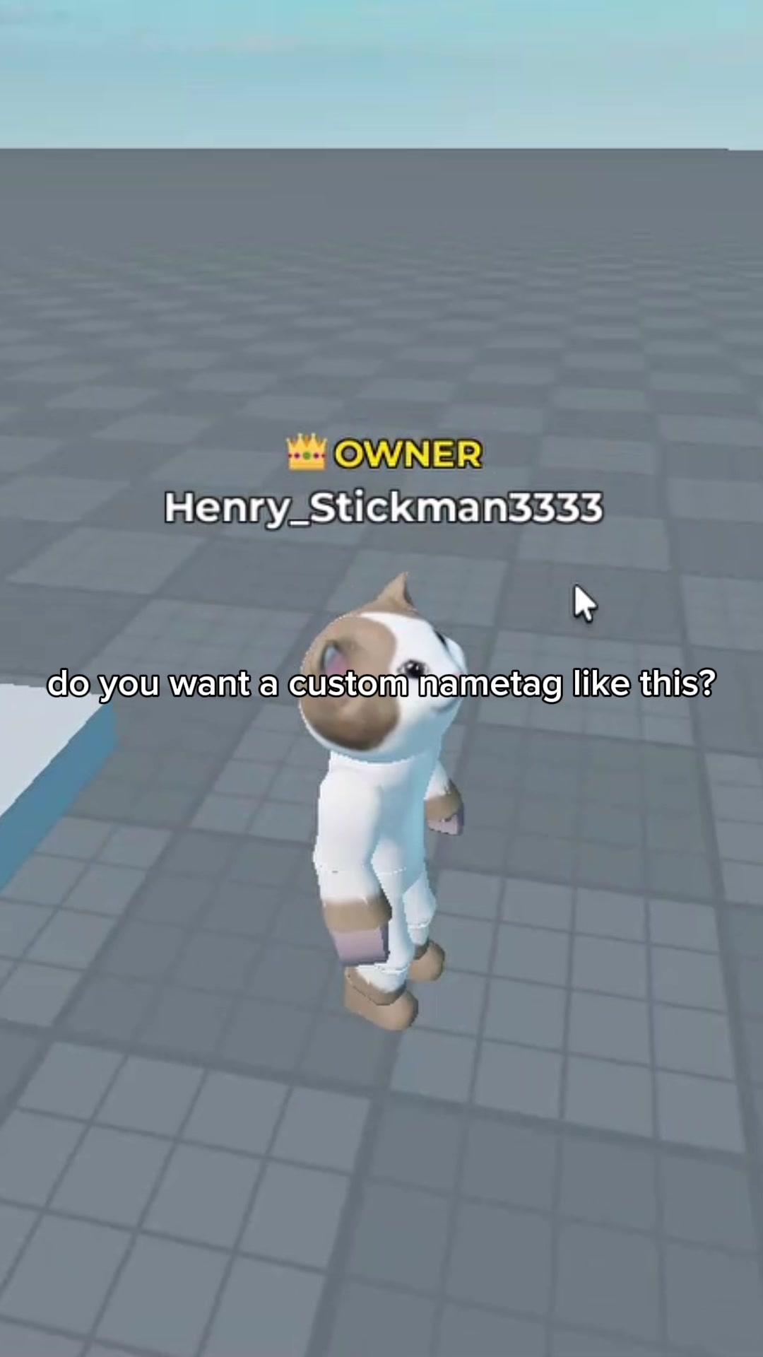 @sakzzz