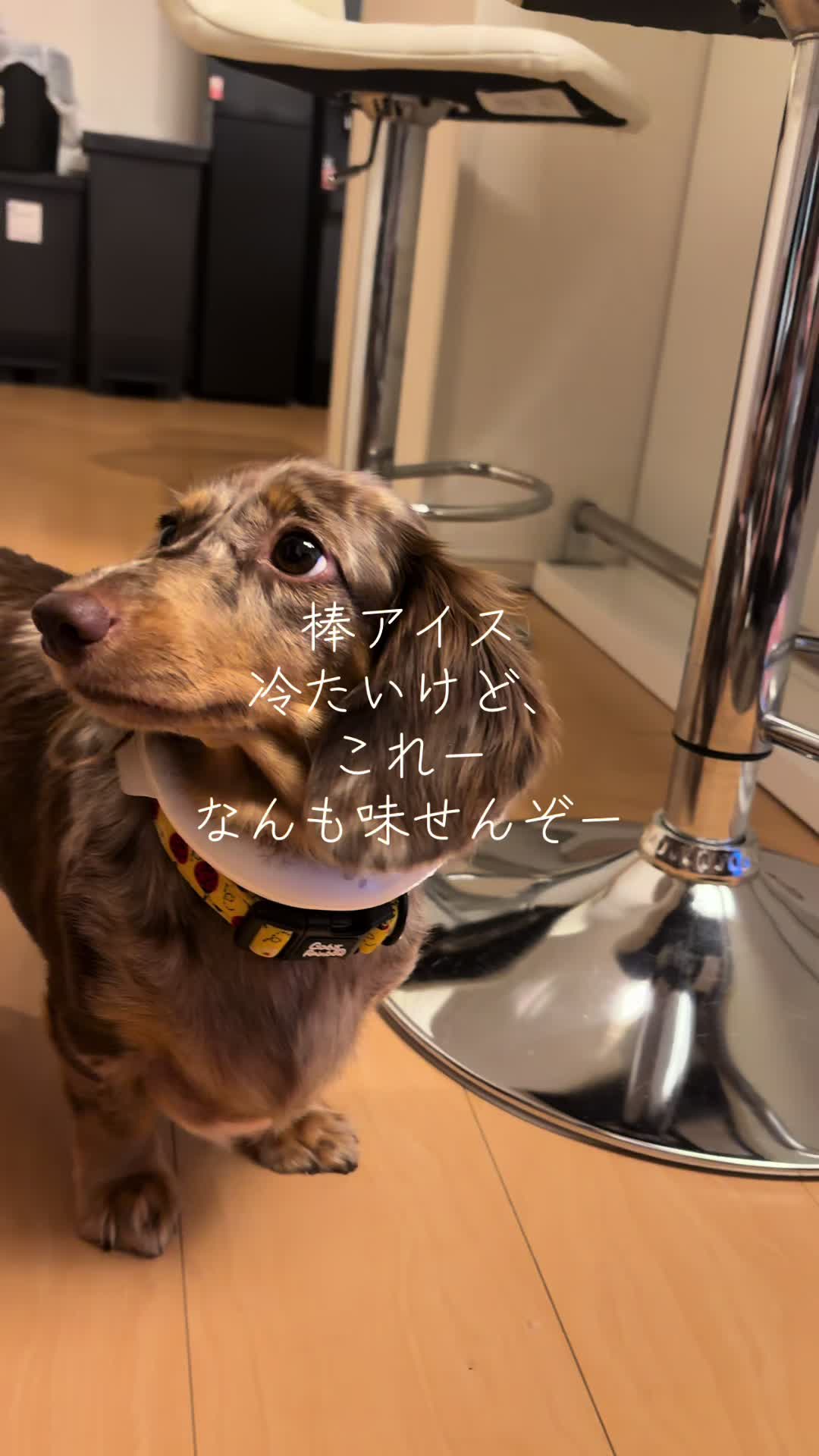 @ケン