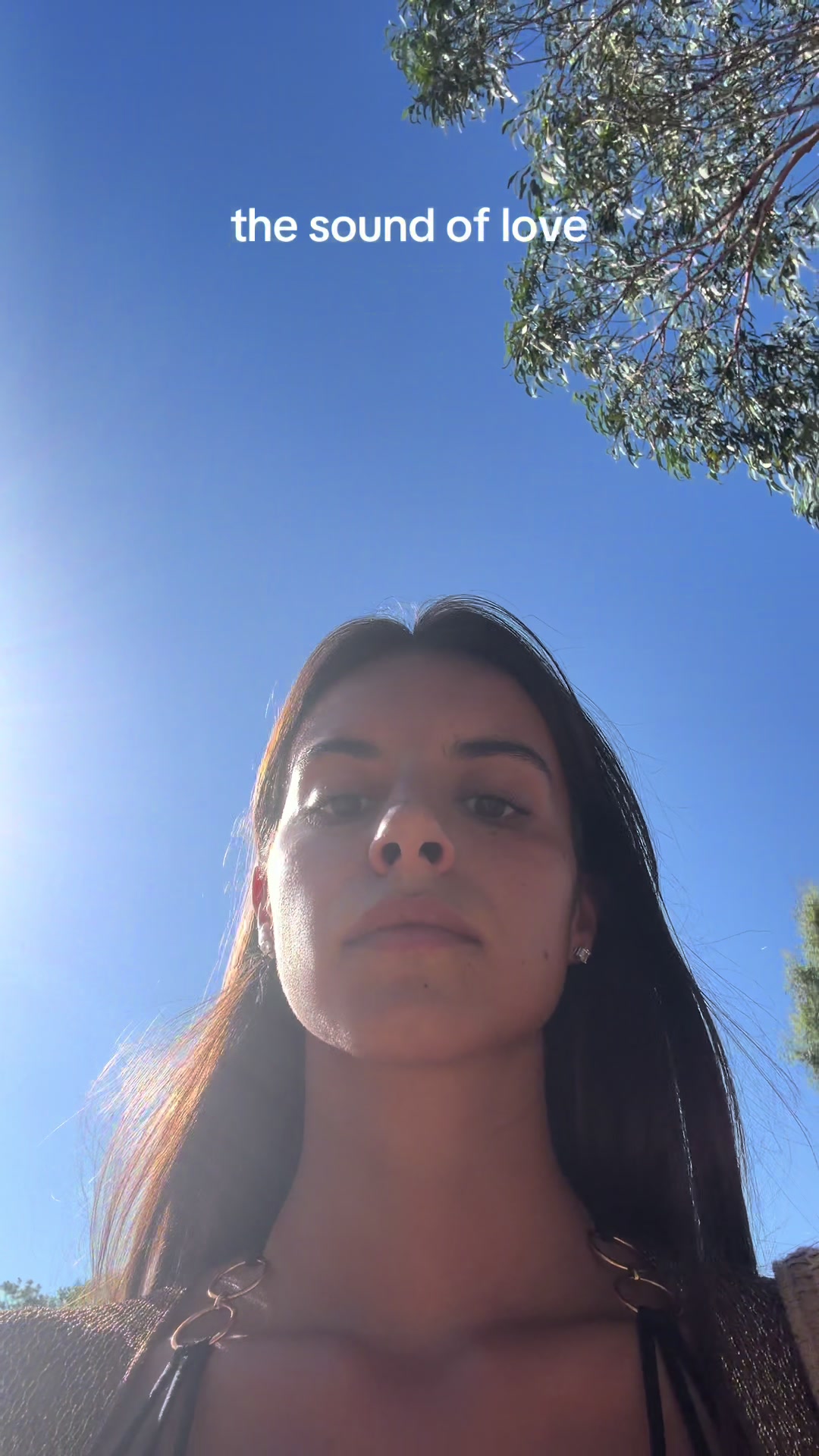 @lacuccuru