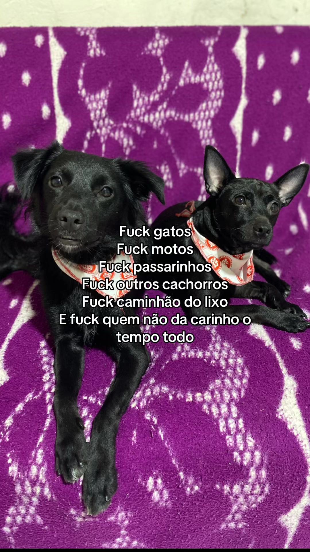 @Lisian Santos