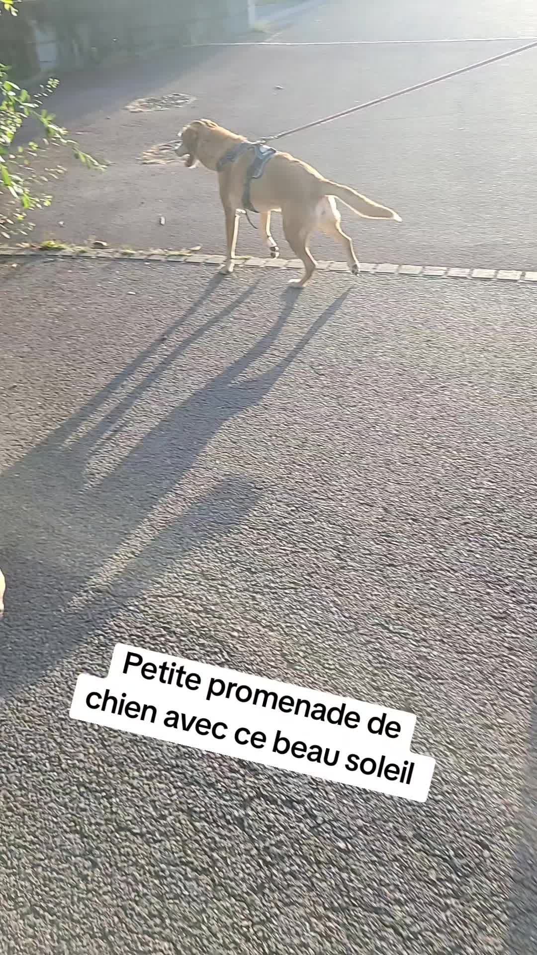 @Brunix