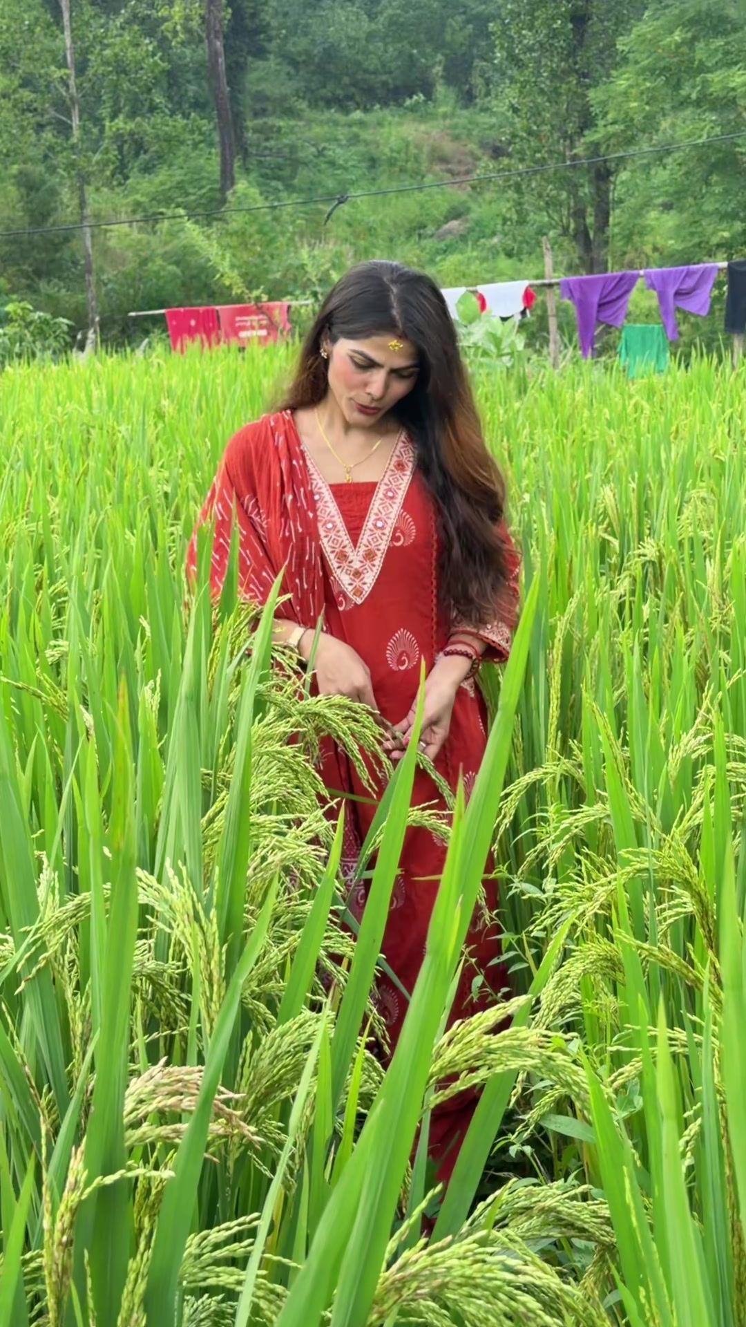 @Geeta Gaire