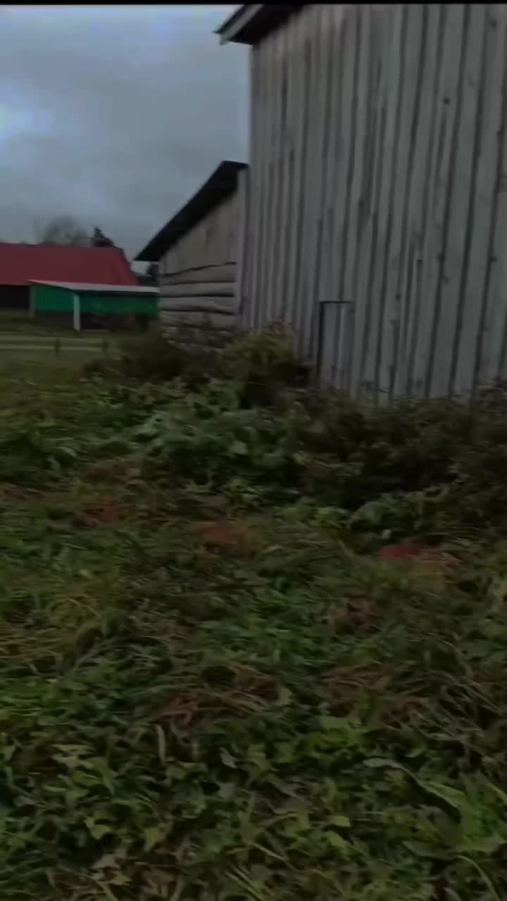 @кириешка 🍌