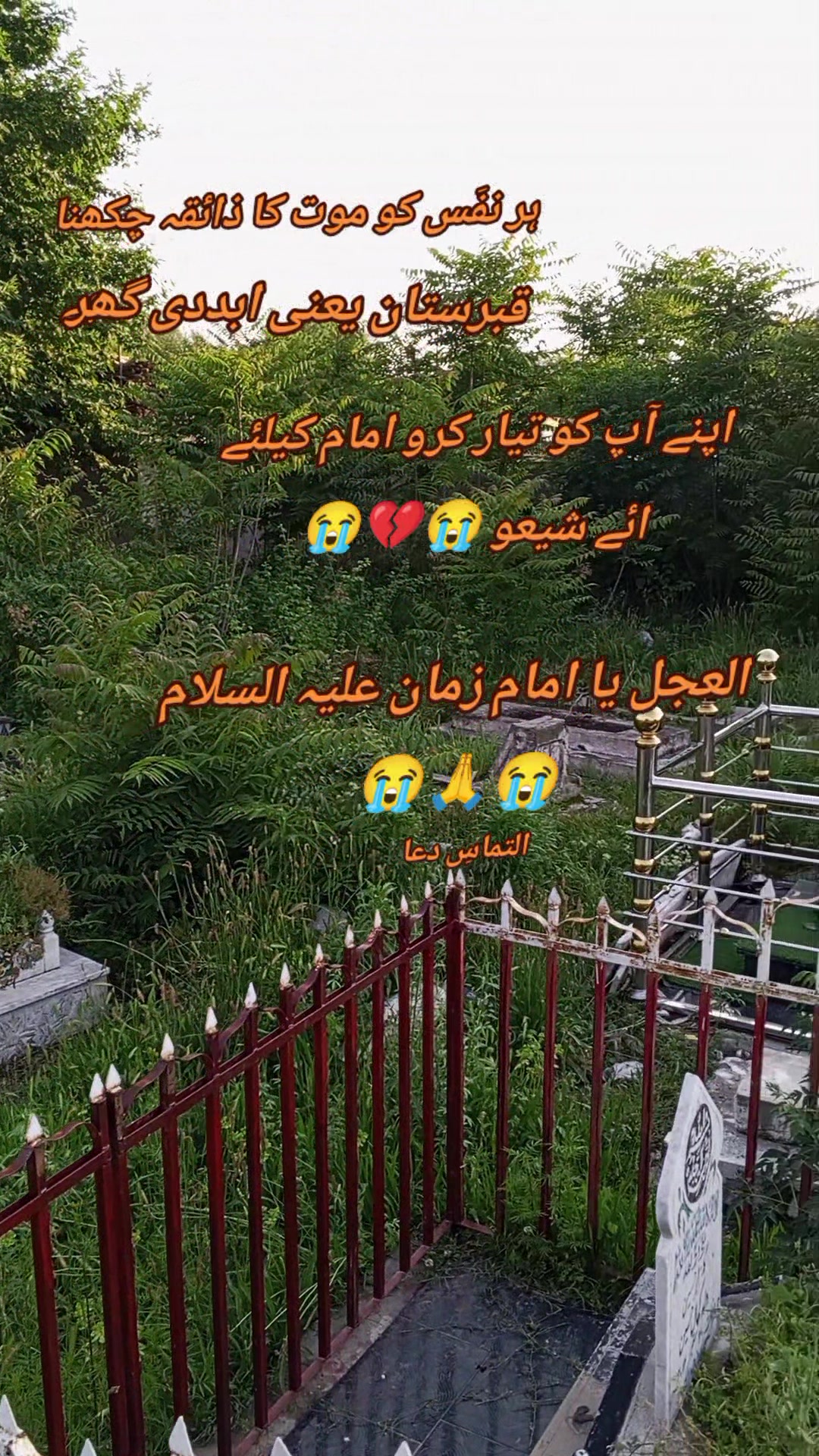 @🦁Saqib Turi 313🦁