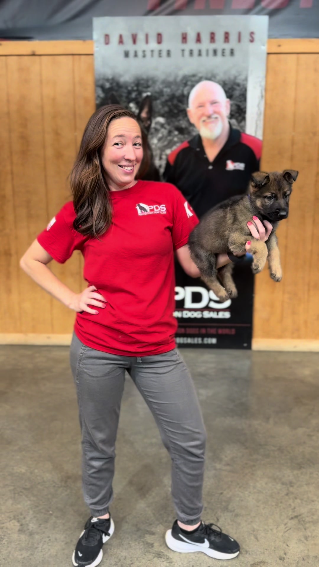 @Protection Dog Sales
