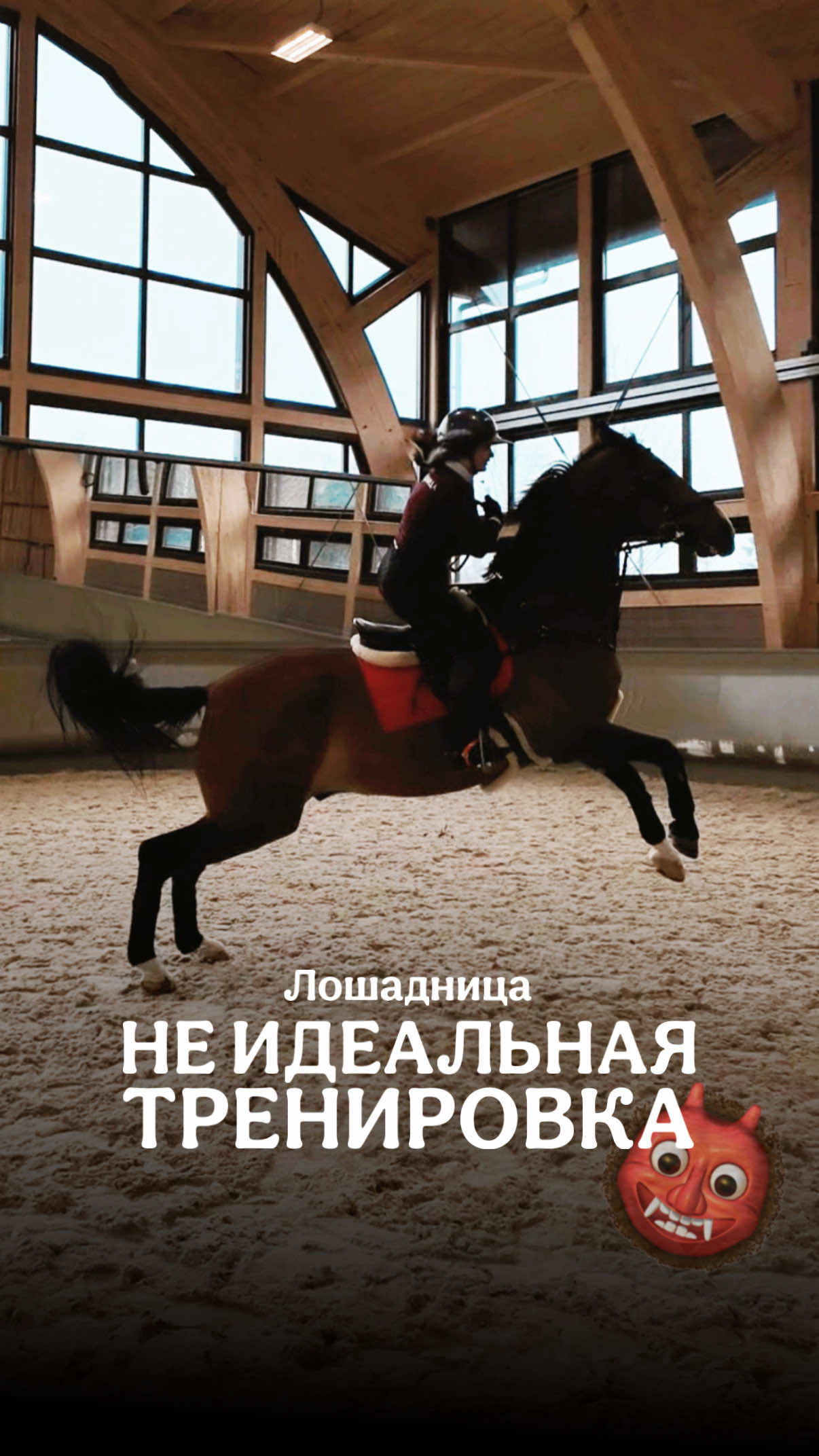 @Лошадница