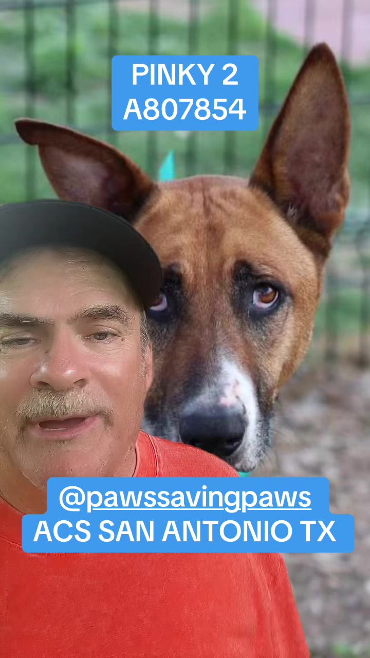 @๐ @stickwithdave