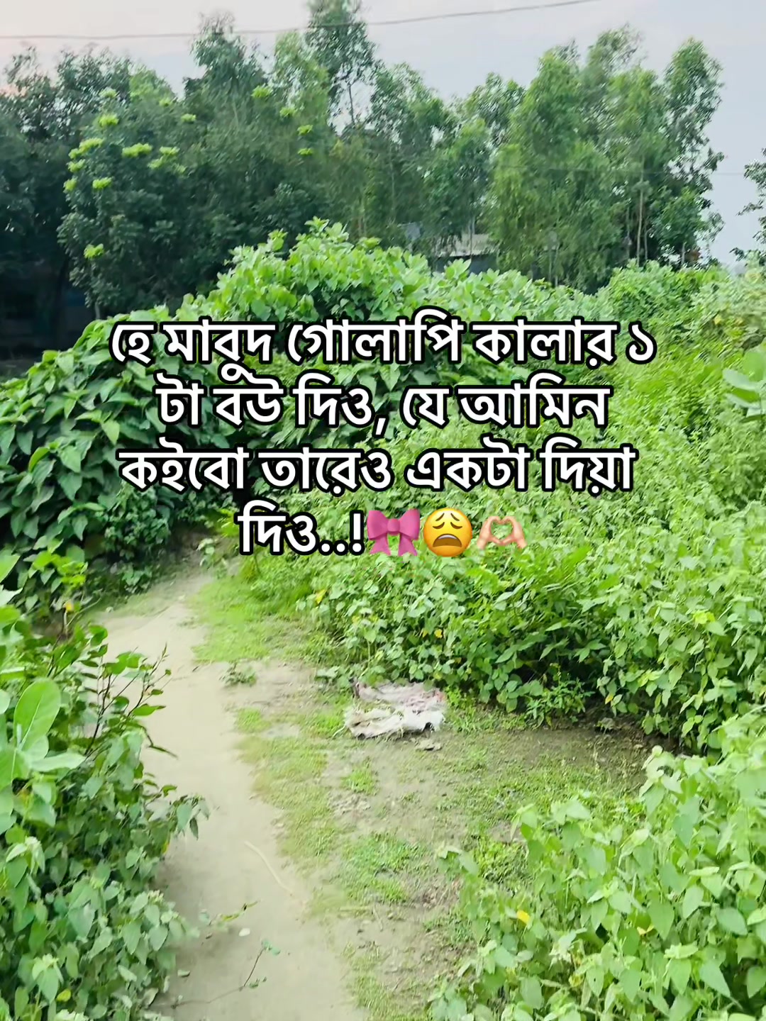 @টিক-টিকি