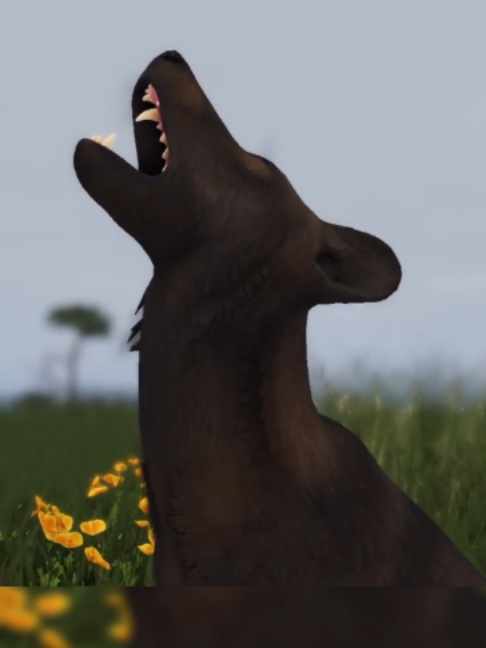@` 𝐅𝐥𝐢𝐠𝐡𝐭𝐥𝐥𝐞𝐬𝐬 ` ,,