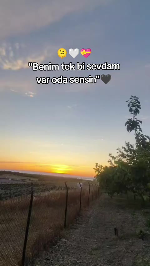 @📌STORY📌.       🫶&hearts;️