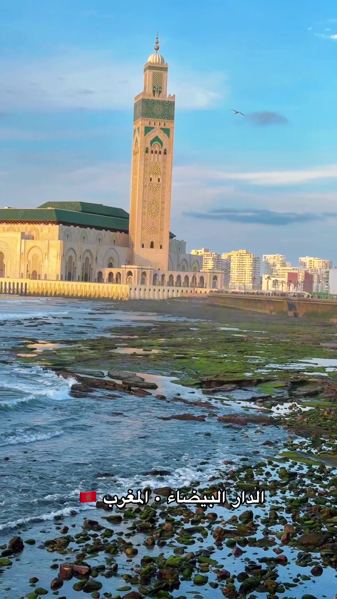 @محمد