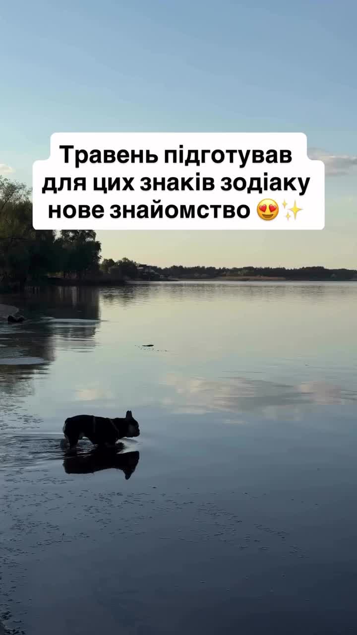 @Yaroslava