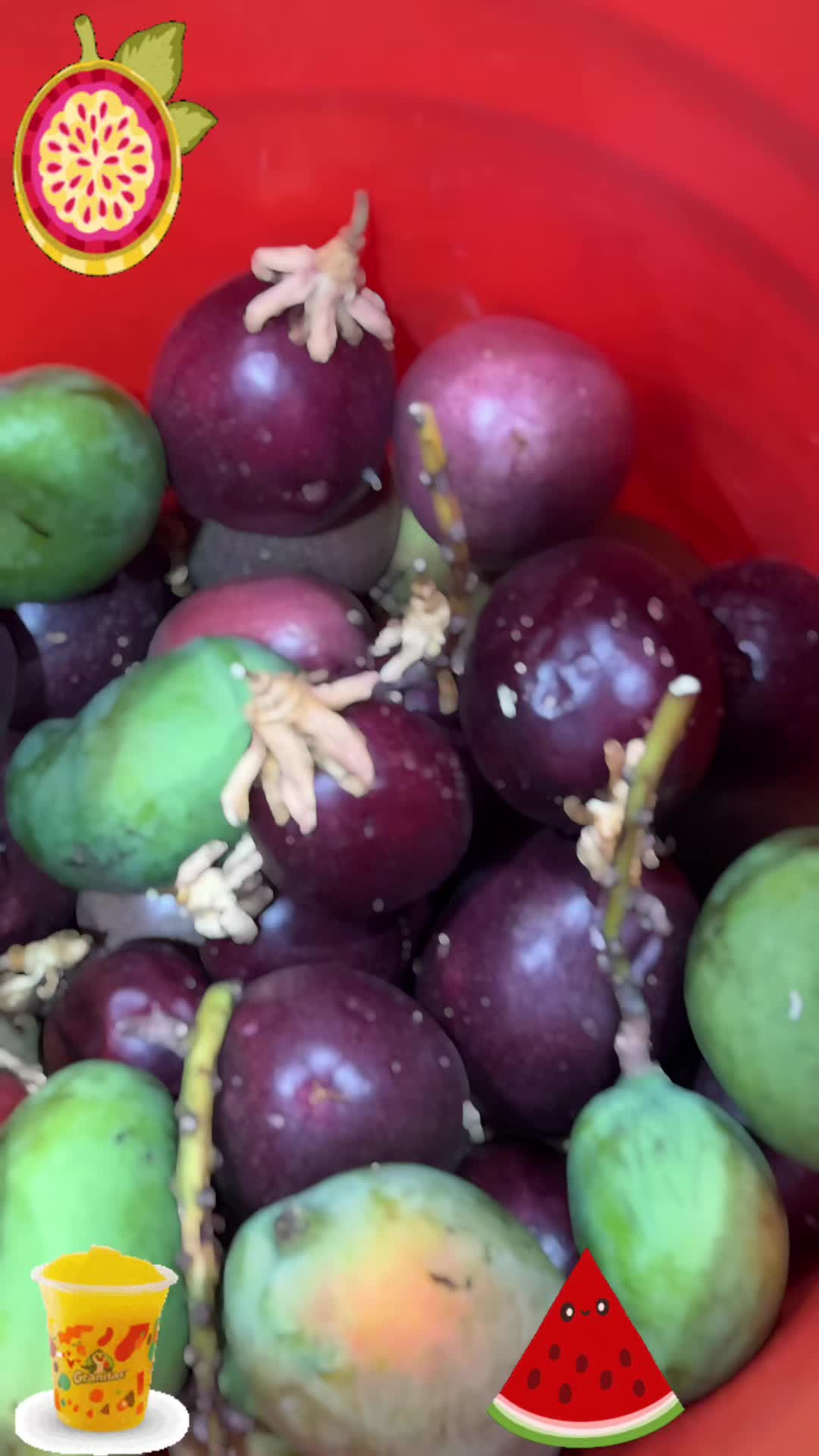 @Rosa María