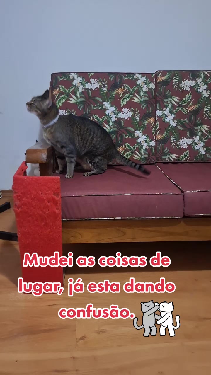 @MagdaAmoAnimais😾🐶🕊