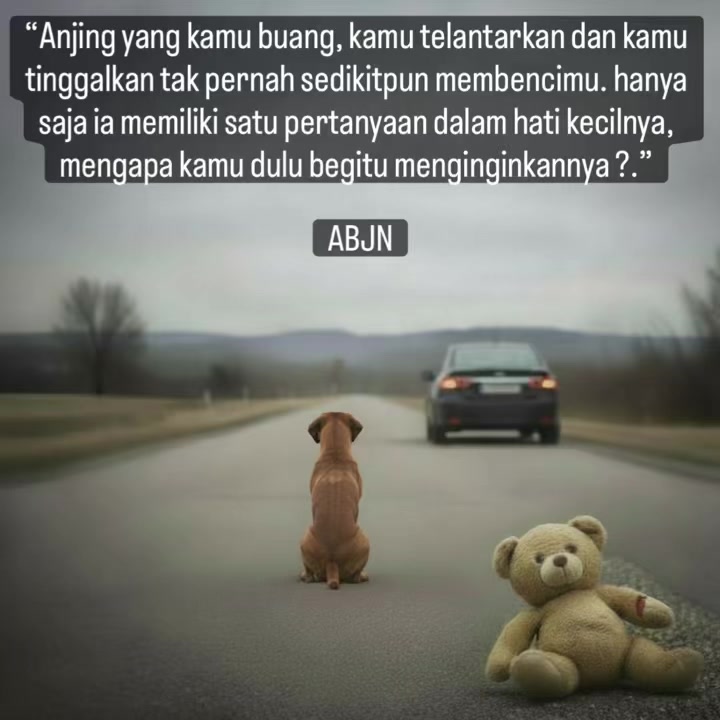 @indonesian_dog_lover