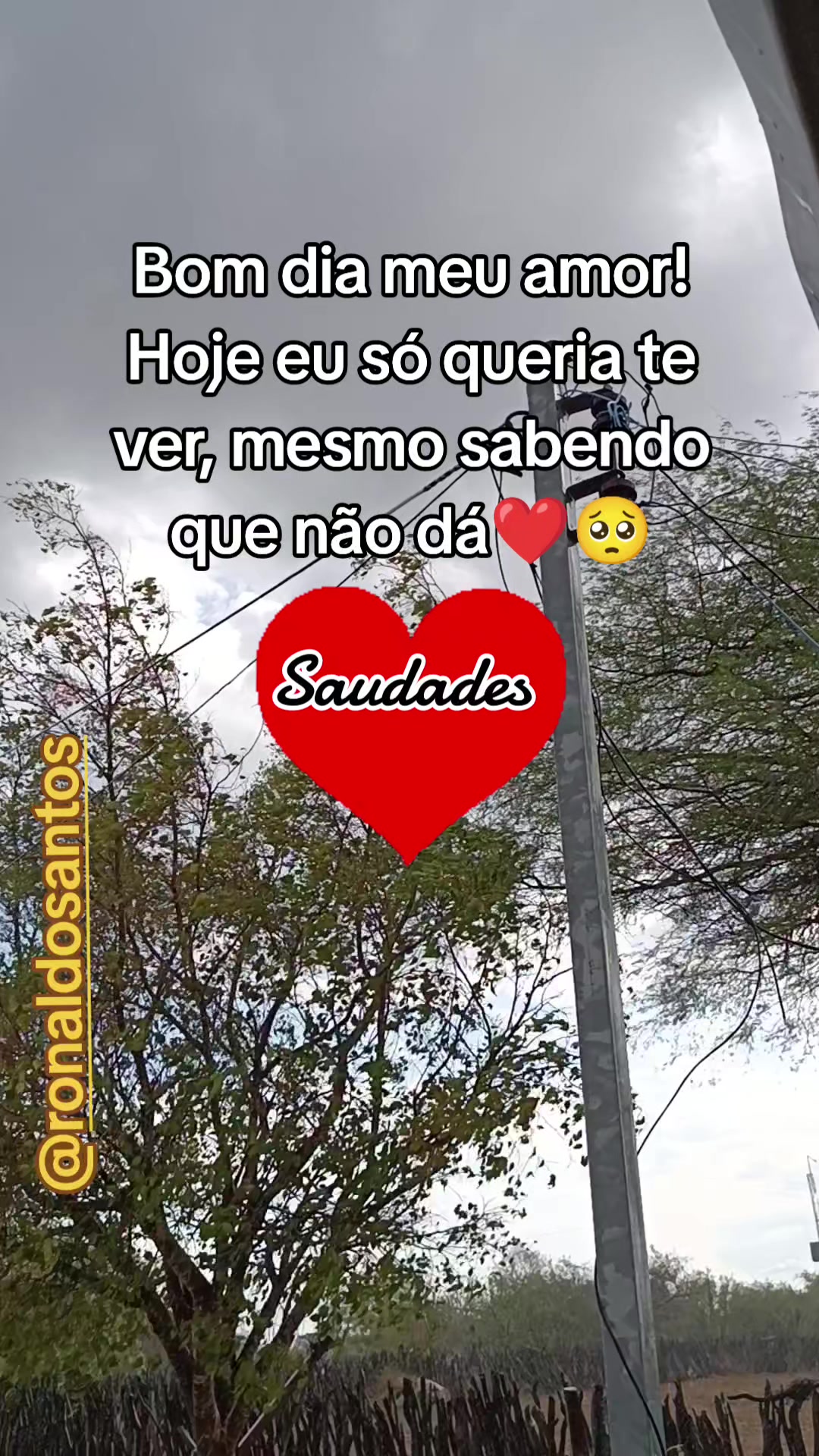 @ronaldosantos