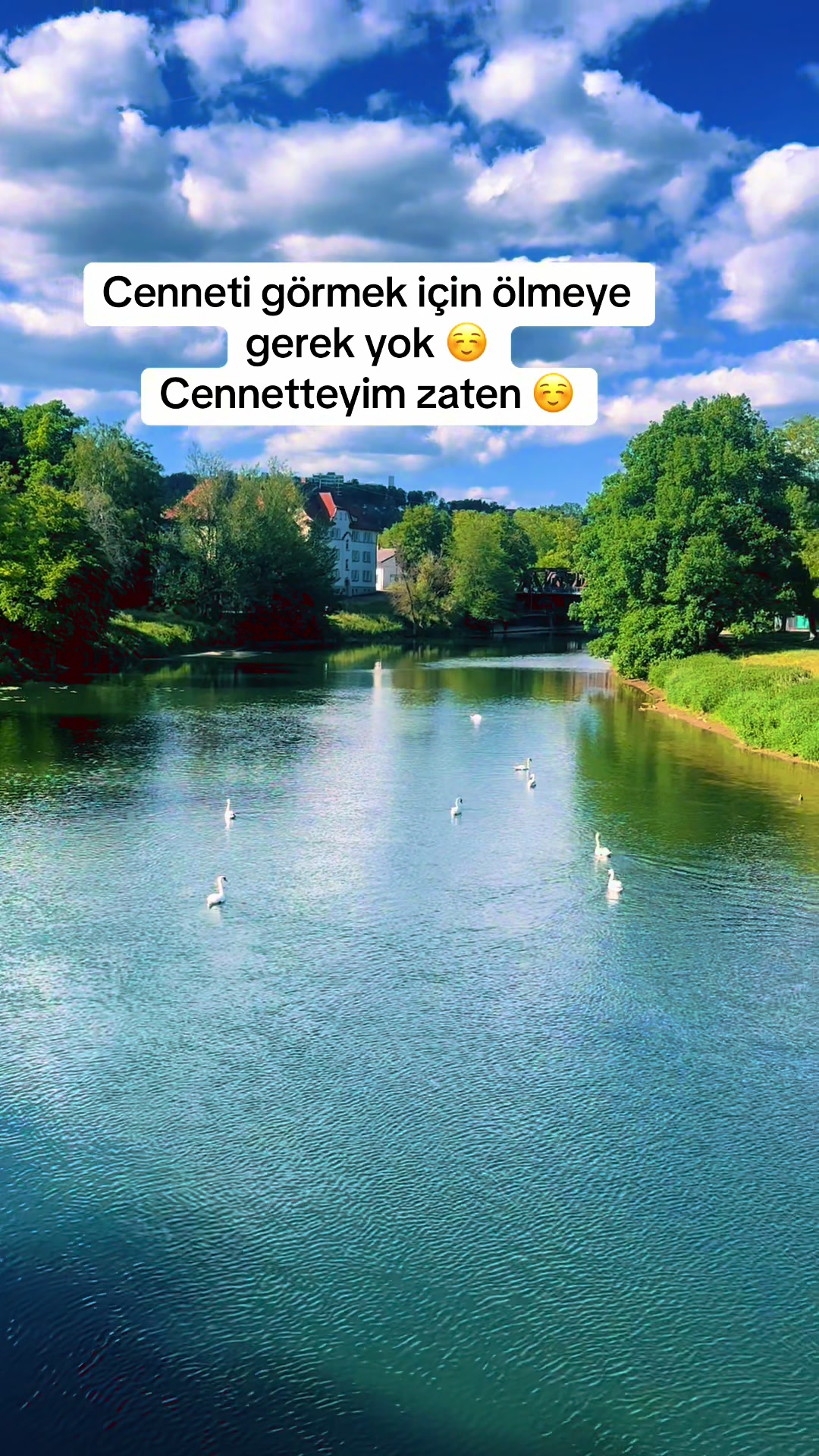 @Gül🌹