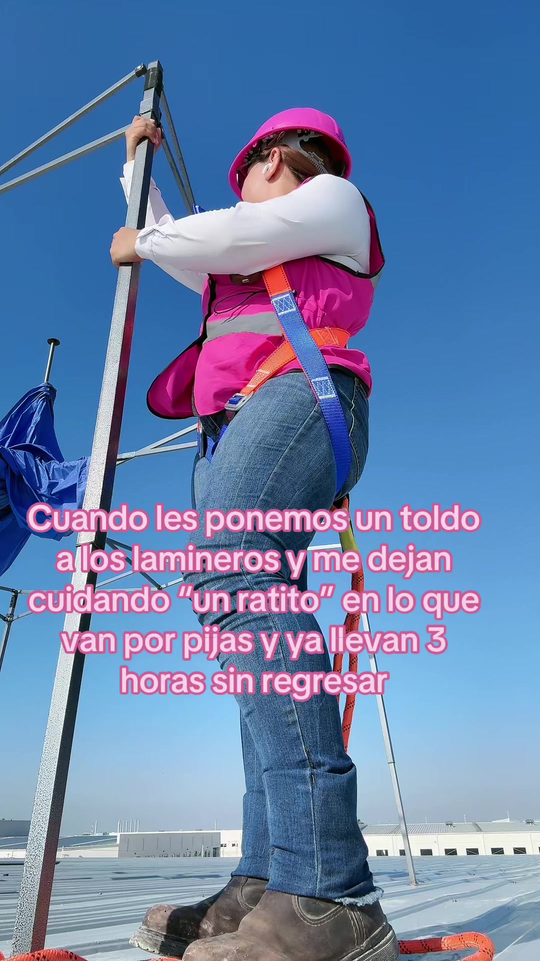 @Ale Moreno Ochoa
