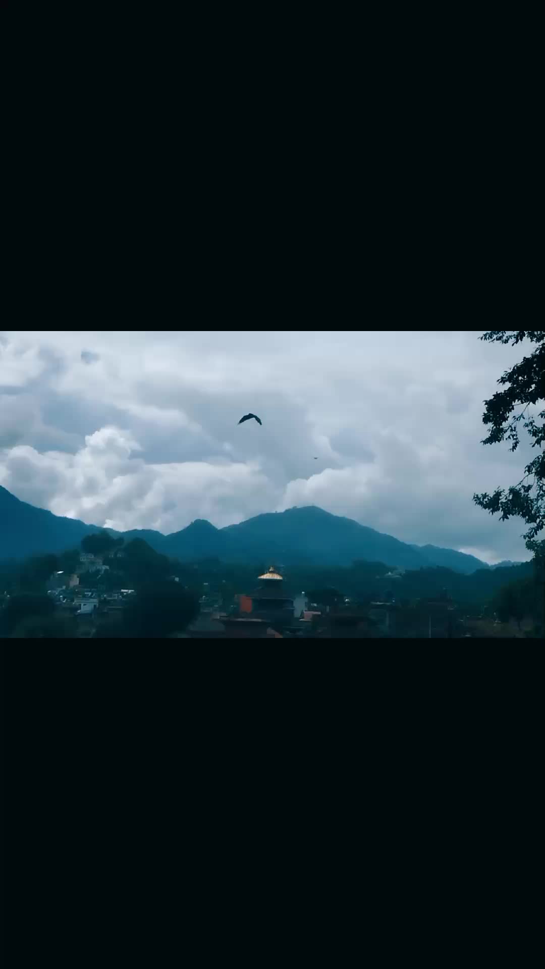 @Puspa Karki